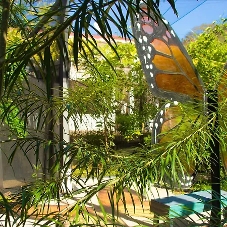 Pupa House Hotel