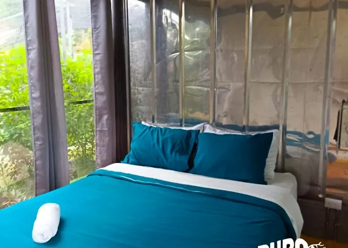 Hotel Pupa House 2*