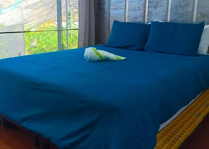 Pupa House 2* Tamarindo