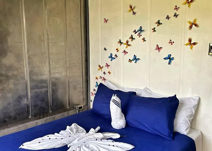 Hotel Pupa House